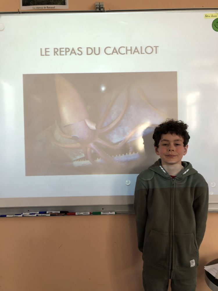 Les exposés en CM2.