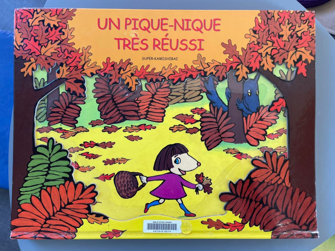 Bibliothèque en GS.